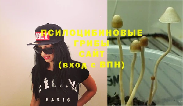 метадон Абаза