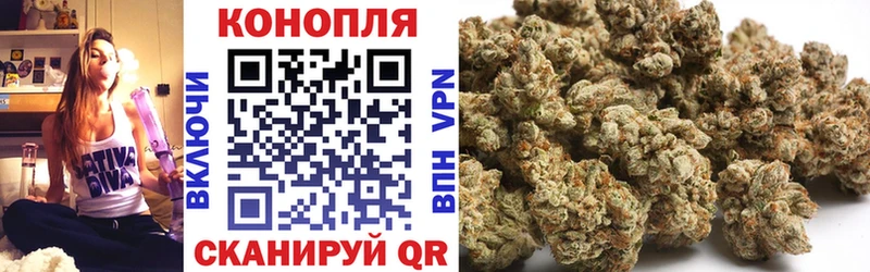 Бошки марихуана сатива  продажа наркотиков  Ермолино 